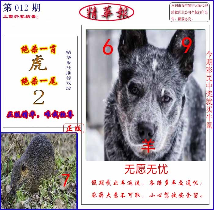 012期新精华报报[图]