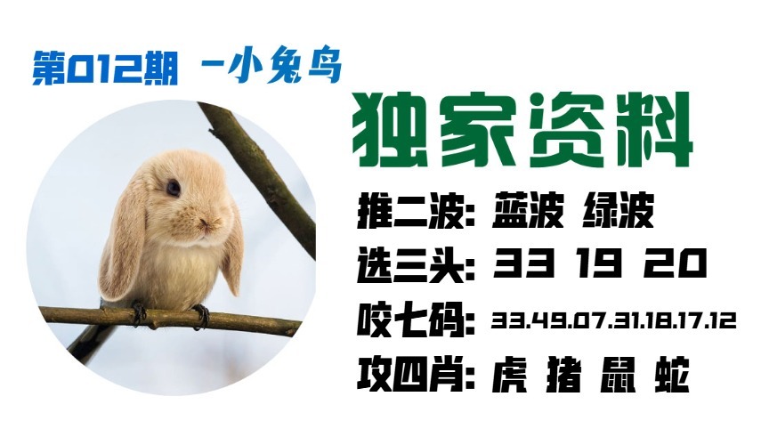 012期小兔鸟[图]